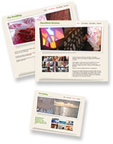 Professionally-designed 5-page website